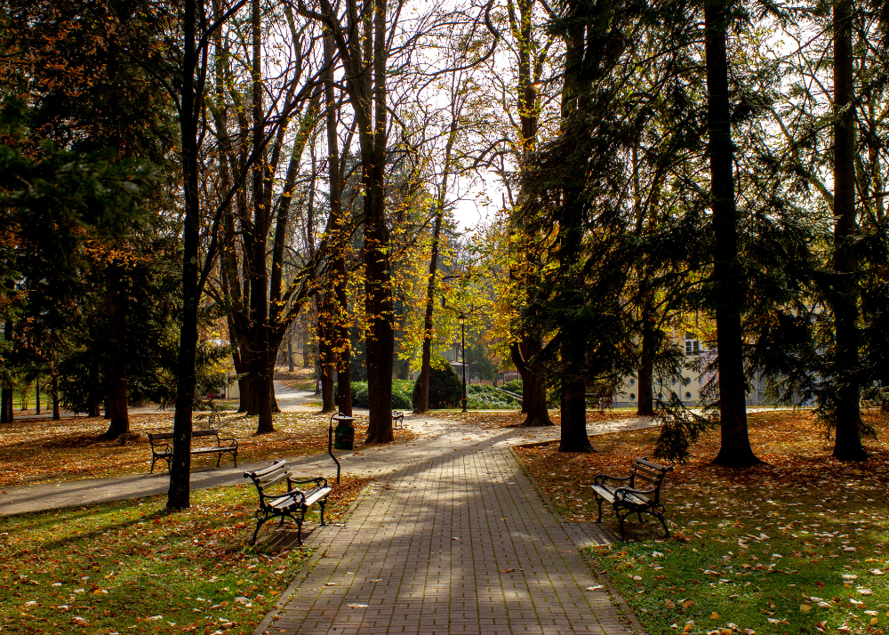magazin, Balkan travel, Vrnjacka Banja, destinacija, novi broj, atrakcija, poznate ličnosti, intervjui, Most ljubavi, park, Promenada, lečilište, novo, vesti, promocija, Srbija, putovanje, travel, tourism, new number, magazine, Balkan, spa, therme, interviews, articles, topics, Serbia, destination, news, promotion, 2025