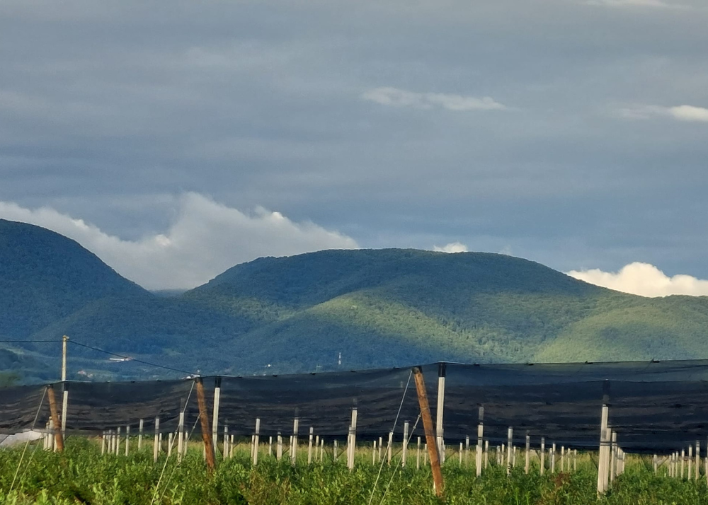 planina, Jelica, Srbija, Šumadija, Balkan travel, zaštita, priroda, uredba, Vlada Srbije, Balkan travel, očuvanje, 2025, vesti, destinacija, atrakcija, mountain, Serbia, destination, atraction, nature, preservation, Balkans
