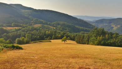 planina, Jelica, Srbija, Šumadija, Balkan travel, zaštita, priroda, uredba, Vlada Srbije, Balkan travel, očuvanje, 2025, vesti, destinacija, atrakcija, mountain, Serbia, destination, atraction, nature, preservation, Balkans