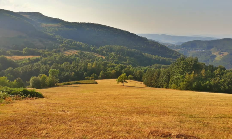 planina, Jelica, Srbija, Šumadija, Balkan travel, zaštita, priroda, uredba, Vlada Srbije, Balkan travel, očuvanje, 2025, vesti, destinacija, atrakcija, mountain, Serbia, destination, atraction, nature, preservation, Balkans