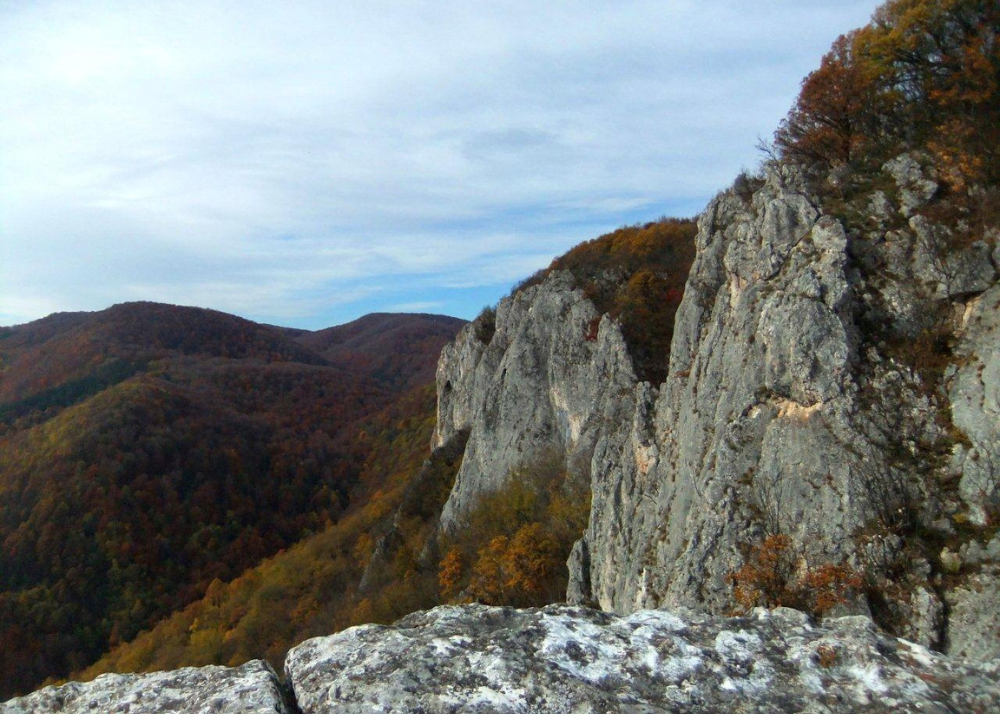 planina, Jelica, Srbija, Šumadija, Balkan travel, zaštita, priroda, uredba, Vlada Srbije, Balkan travel, očuvanje, 2025, vesti, destinacija, atrakcija, mountain, Serbia, destination, atraction, nature, preservation, Balkans