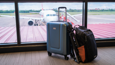 prtljag, EU, Evropski parlament, taksa, ručni prtljag, odluka, 2025, vesti, turizam, avio-kompanije, destinacije, atrakcije, Balkan travel, putovanje, luggage, airplane, air-line, air port, aerodrom, European parlament, news, tax, Europe, destinations, atracitons, travelers