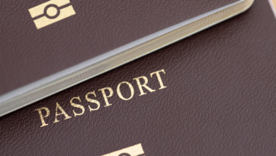 passport, Henlijev indeks, moć, svet, Evropa, Azija, Amerika, Srbija, Balkan, vesti, kontrola, granice, rang lista, Henley Passport Index, 2025, news, document, travel, tourism, destination, Balkans, Serbia, Singapore, Singapur, destinacija, turizam, atrakcija