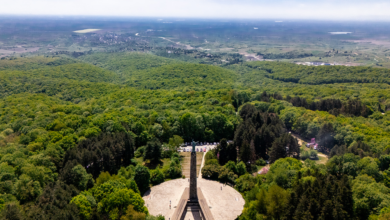 Nacionalni park Fruška gora, Fruška gora manastiri, Fruška gora jezera, vina Fruške gore, Fruška gora planinarenje, turističke atrakcije Vojvodina, izleti Fruška gora