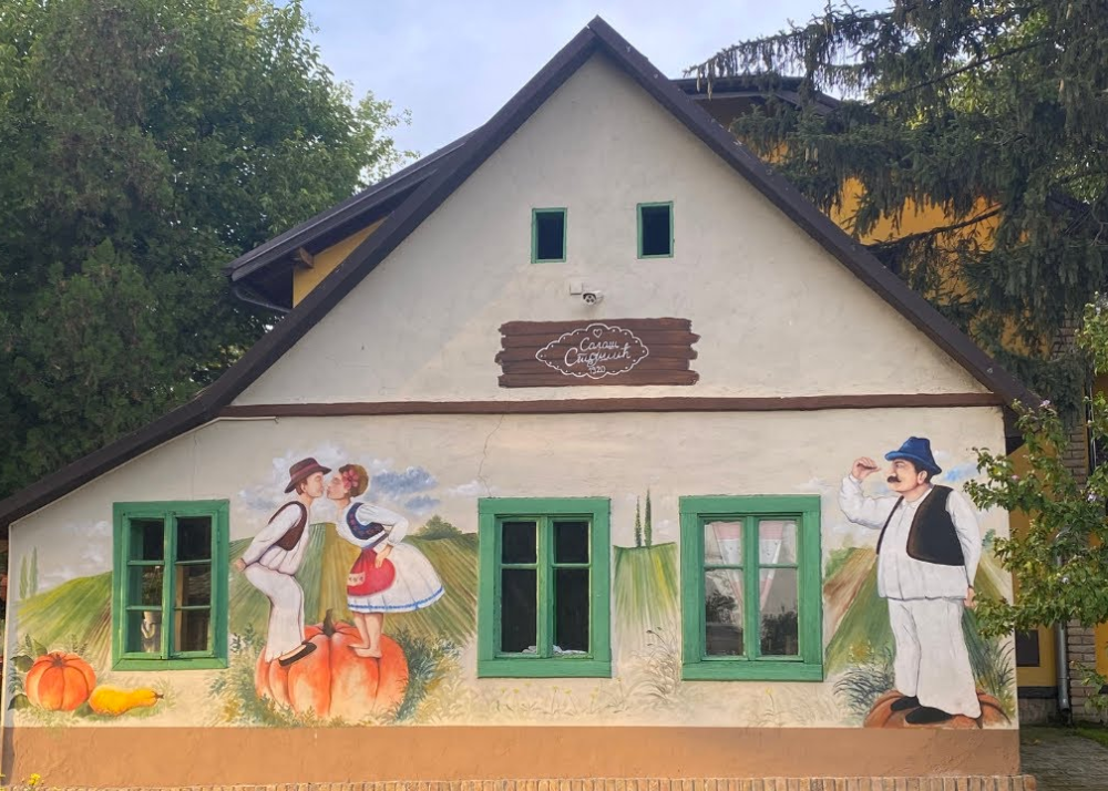 salaši u Vojvodini, vojvođanski salaši, salaši Novi Sad, salaši Subotica, salaši Palić, vojvođanska hrana, tradicija i gostoprimstvo Vojvodine