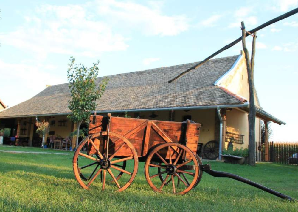 Salaš, čarde, Vojvodina, gastronomija, kultura, destinacija, atrakcija, Balkan travel, 2026, vesti