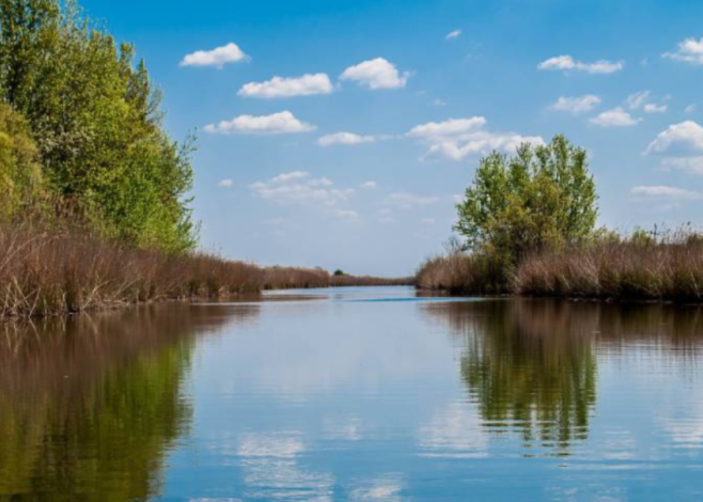 Carska bara, specijalni rezervat prirode, Vojvodina, atrakcija, putovanje, destinacija, 2026, Srbija, turizam